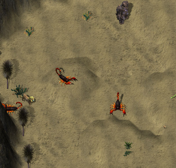 Desert of compassionkr.jpg