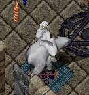Rideable polar bear example.png