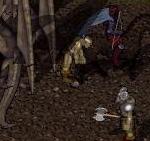 BNN Coalition of Might Assails Orc Warhorde - Picture 1.jpg