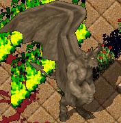 BNN Lord Wilhaim and Maxarius Slain - Picture 1.jpg