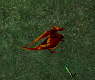Umbrascale Hatchling.png