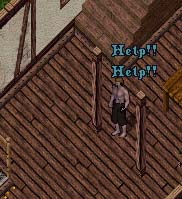 BNN Elder Gazers Fight Over a Human Morsel - Picture 2.jpg