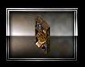 Broken bookcase icon.jpg