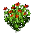 Poppies.png