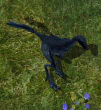 Forestostardkr.jpg