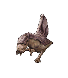Ridgeback.png