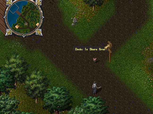 Skara Brae Chicken.JPG