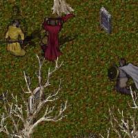 BNN The Principle Pieces Part III - Picture 1.jpg