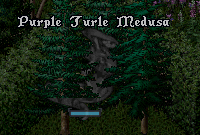 Purple turtle medusa.png