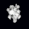 Essence of order.gif