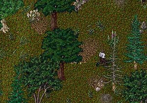 BNN Thief Robs the Traveler's Inn - Picture 1.jpg