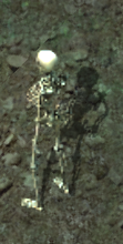 Patchwork skeletonkr.png