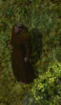 Wandering healerkr.jpg