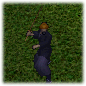 Guide samurai.png