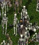BNN Moonglow Sees the Dead Rise Again - Picture 3.jpg