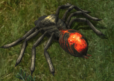 Dread spider1kr.jpg