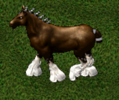 Clydesdale.png
