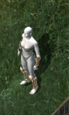 Savage warrior femkr.jpg