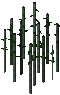 Sugar Canes.png