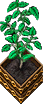 Coffee-stage3.png