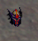 Hexweavers Visage Helm.png