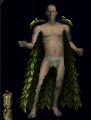 Cloak of Earth Paperdoll.png
