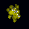 Essence of feeling.gif