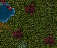 BNN Odd Plants Found in Jungle - Picture 1.jpg
