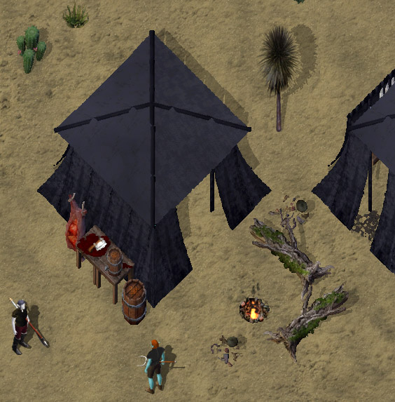 Desert brigand campkr.jpg
