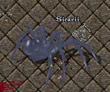 Sicarii.jpg