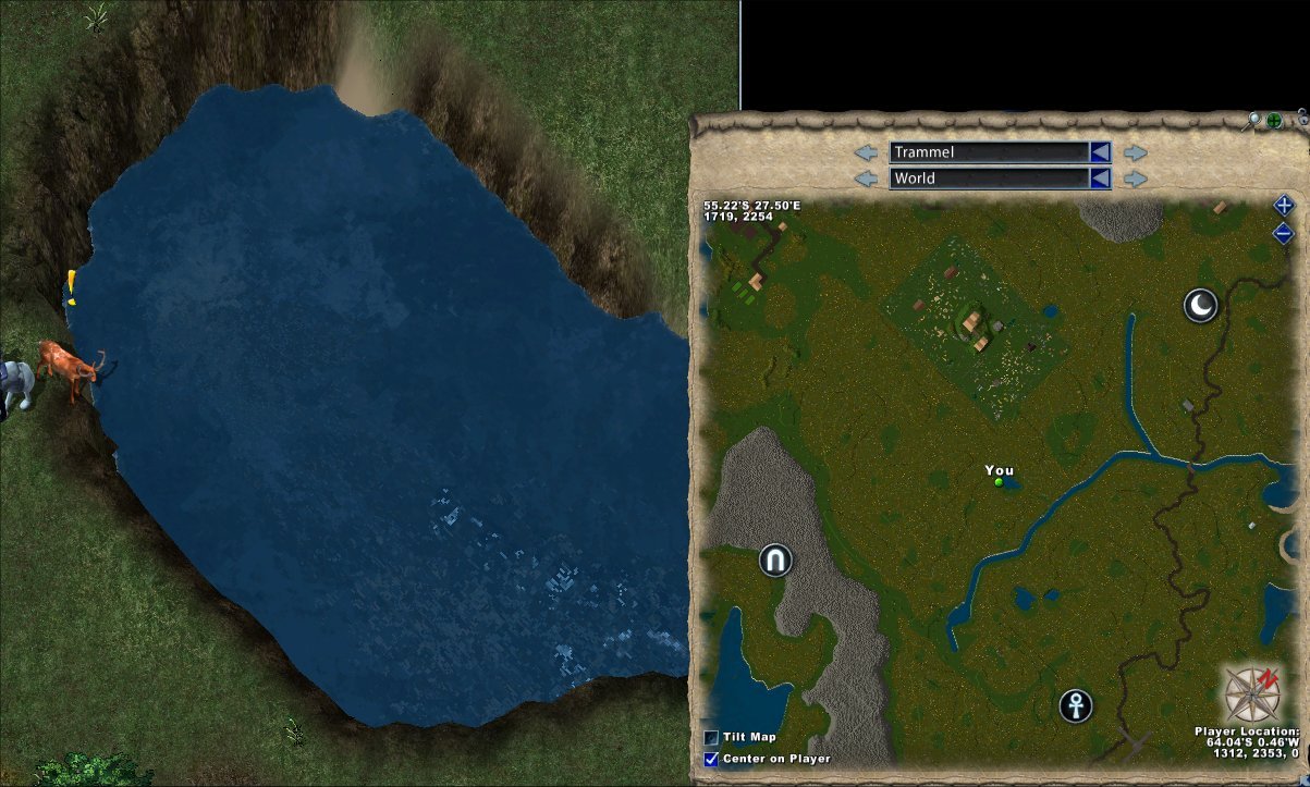 Bravehorn's Pool 01.jpg