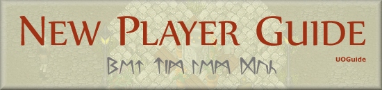 New Player Guide - codex