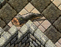Rotworm.png