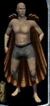 Cloak of Air EC.png