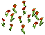 Poppies (Peculiar).png