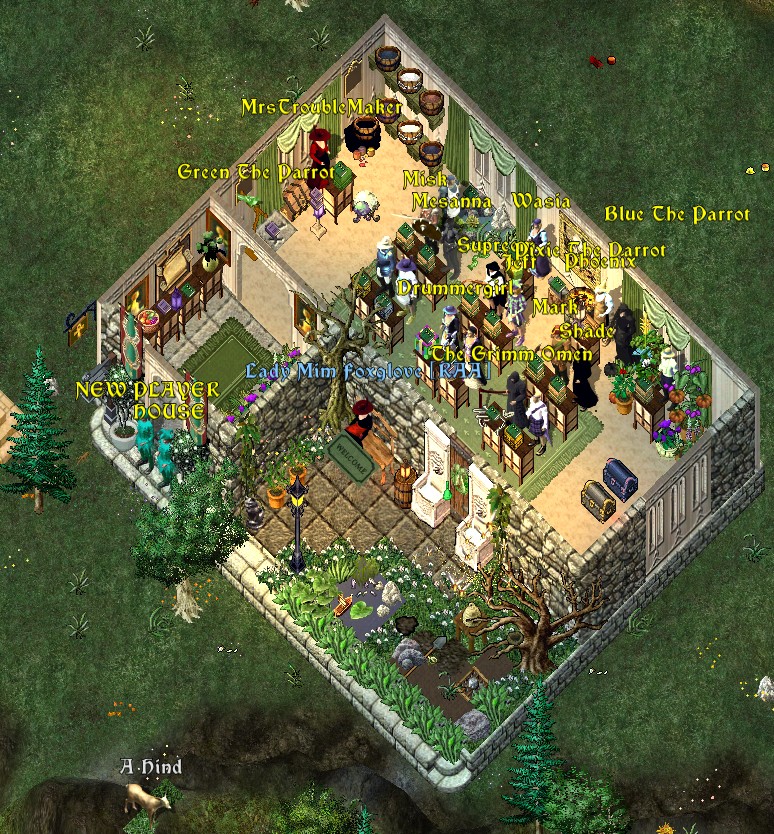 New Player House.jpg