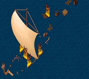BNN Shipwreck Found South of Cove - Picture 1.jpg