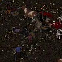 BNN Roundup at the West Britain Corral - Picture 1.jpg