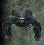 Great Ape.png
