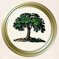 Large shard icon great lakes.jpg