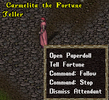 Personal fortune teller.png