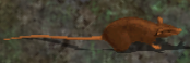 Ratkr.png