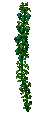 Hops Plant (East).png