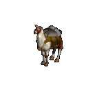 Pack Llama.png