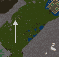 Savage-camp-map.gif