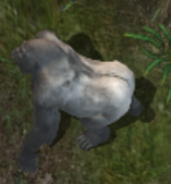 Gorillakr.png