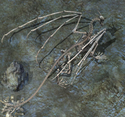 Skeletal dragon2kr.jpg