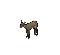 Hind.png