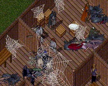 BNN Spider Nest Found in Yew Mill - Picture 1.jpg