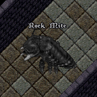Rock mite.png